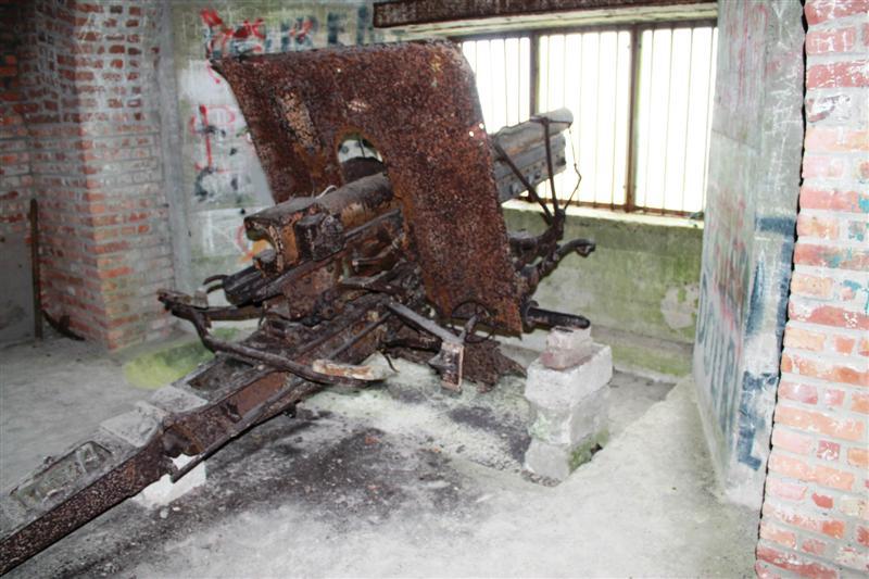 IMG_0484 (Medium).JPG