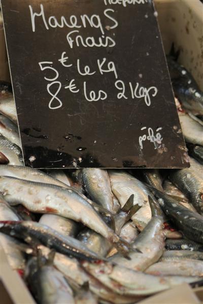 IMG_0851 (Medium).JPG