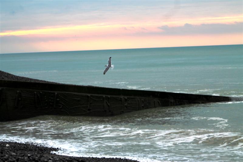 IMG_0940 (Medium).JPG