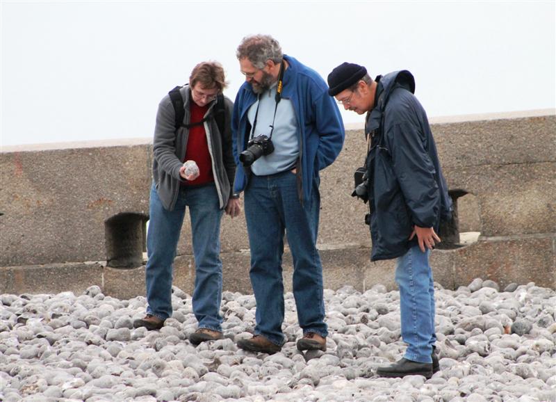 IMG_0955 (Medium).JPG