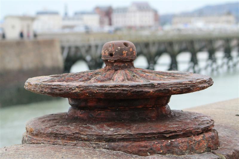 IMG_0969 (Medium).JPG