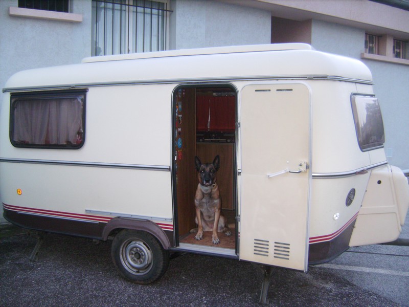 IMGP0625.JPG