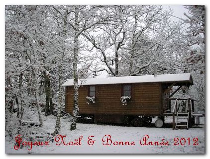 voeux 2012.jpg