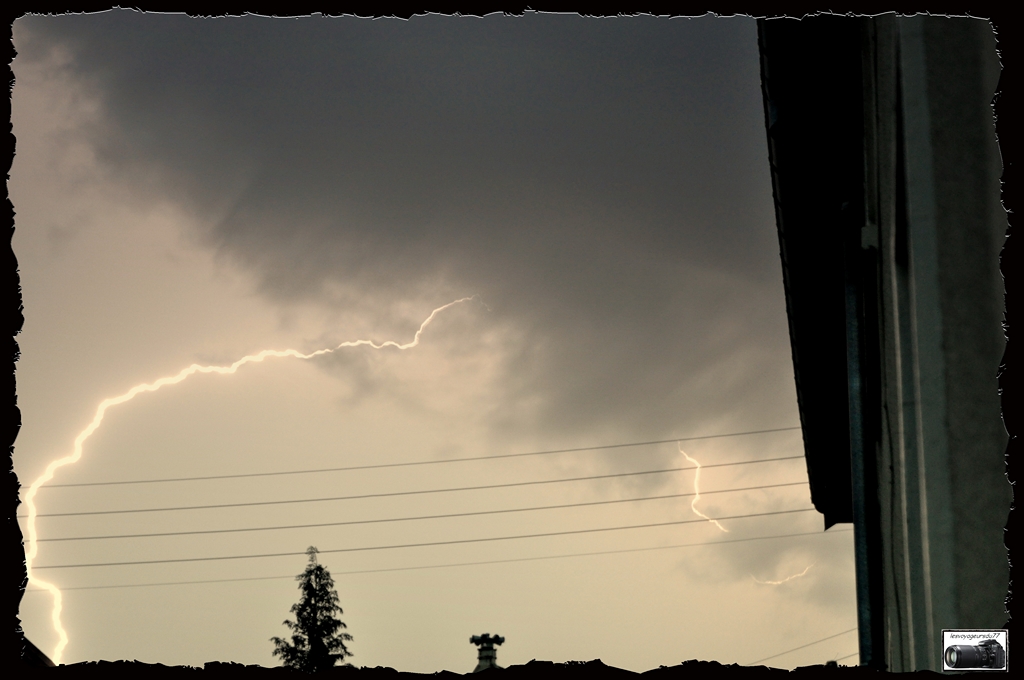 DSC_6876- [1024x768].jpg