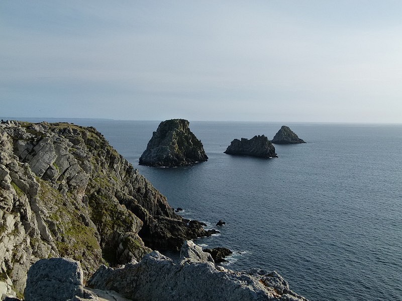 P1000661.JPG