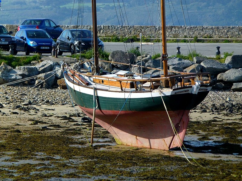 P1000627.JPG