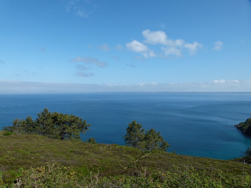 P1010131.JPG