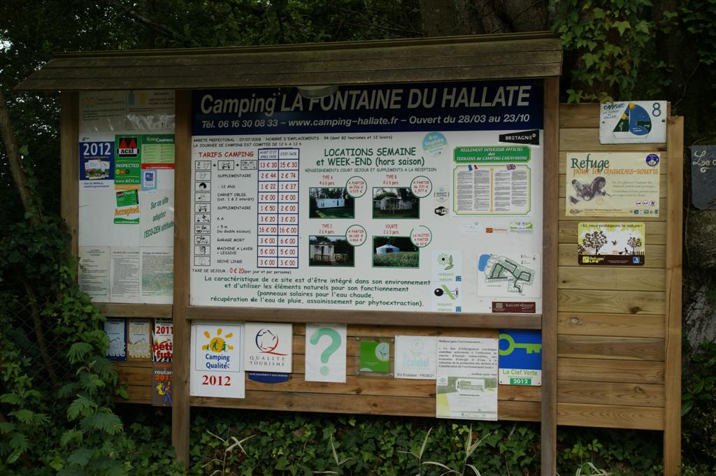 DSC03482 (Large).JPG