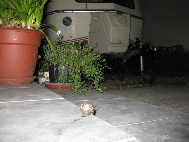IMG_4978.JPG