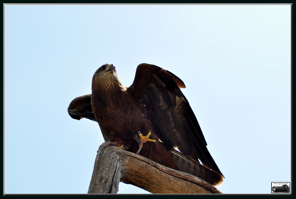 DSC_0132-001 [1024x768].jpg