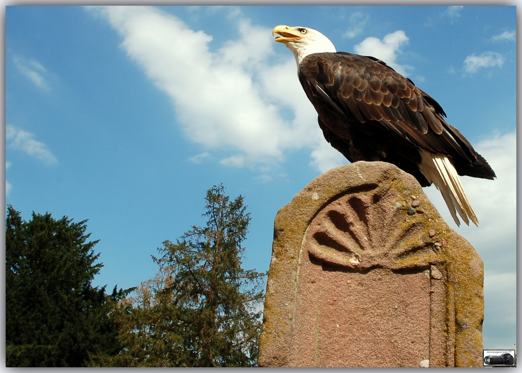 DSC_9192-001 [1024x768].jpg