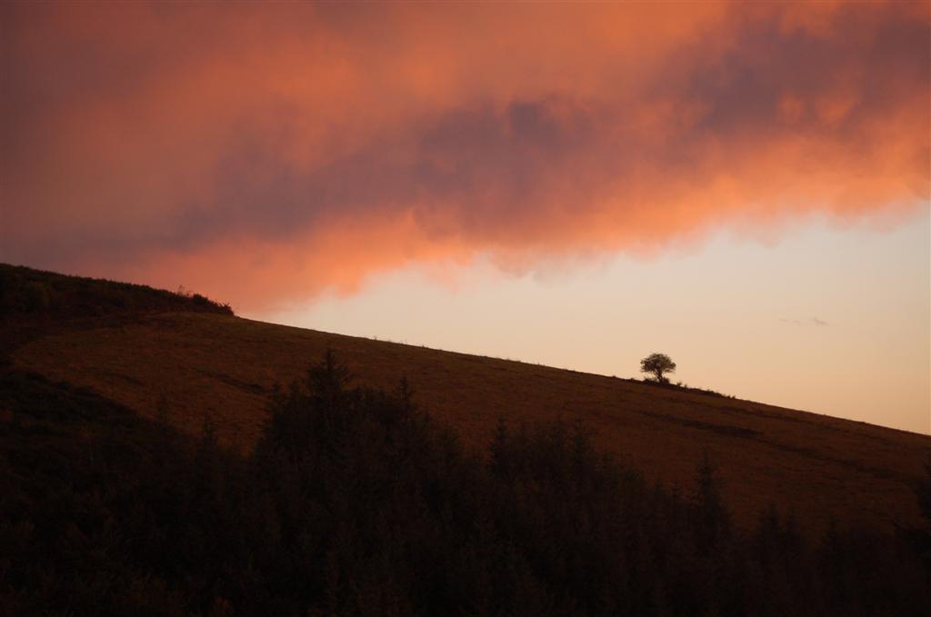 Nuage 018 (Large).jpg