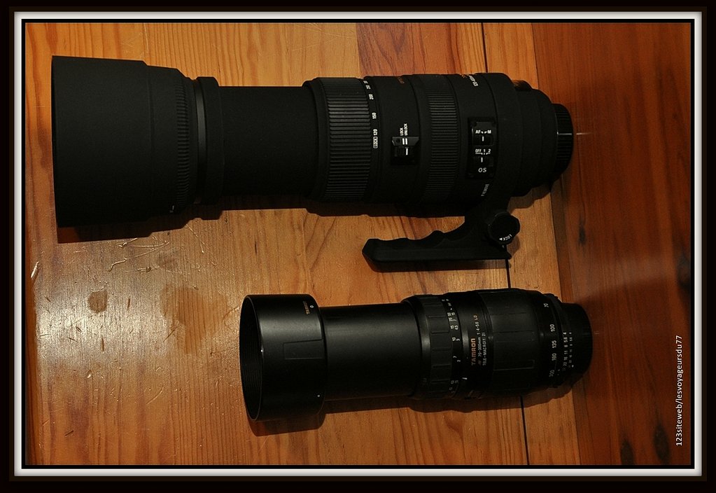 DSC_0028 [1024x768]-001.jpg