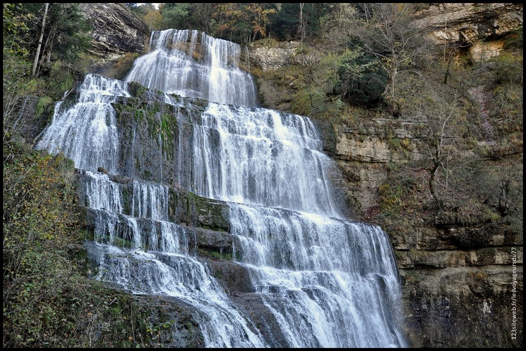 DSC_0012-001 [1024x768].JPG