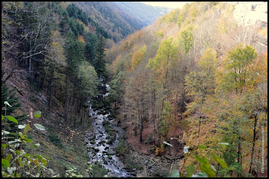 DSC_0022-001 [1024x768].JPG