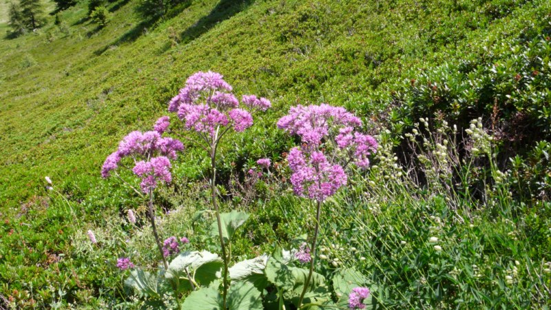 vacancesseynelesalpes2012 318.jpg