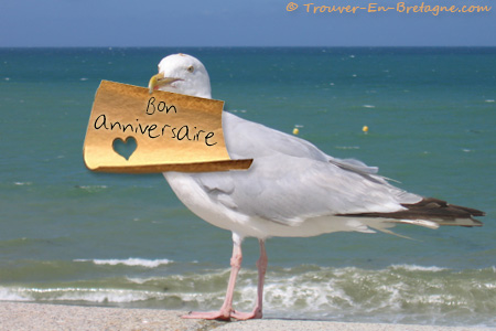 Anniversaire-Mouette_bon_anniversaire.jpg