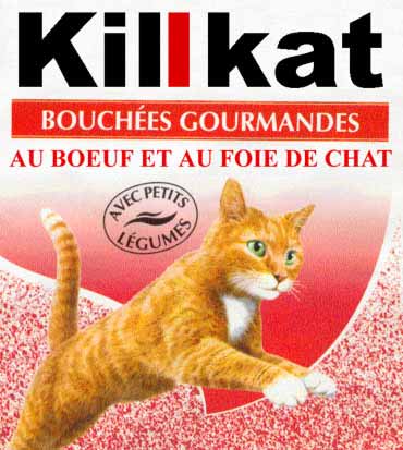 erreurs-traduction-chat.jpg