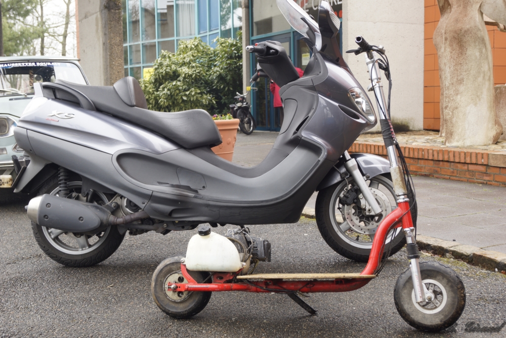 _DSC1965 [800x600].jpg