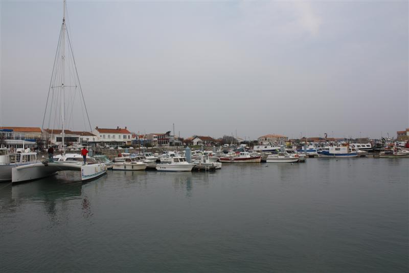 IMG_6160 (Medium).JPG