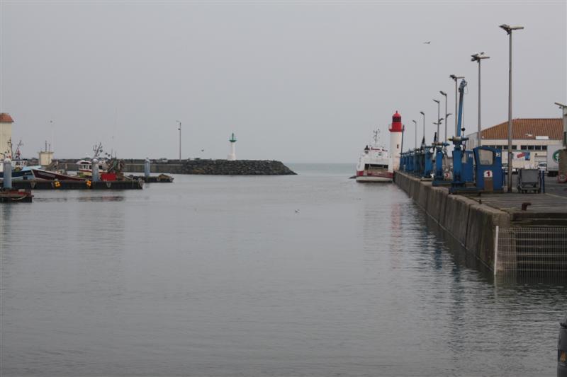 IMG_6162 (Medium).JPG