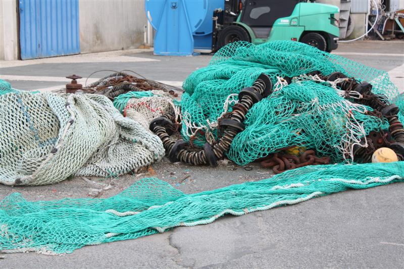 IMG_6174 (Medium).JPG