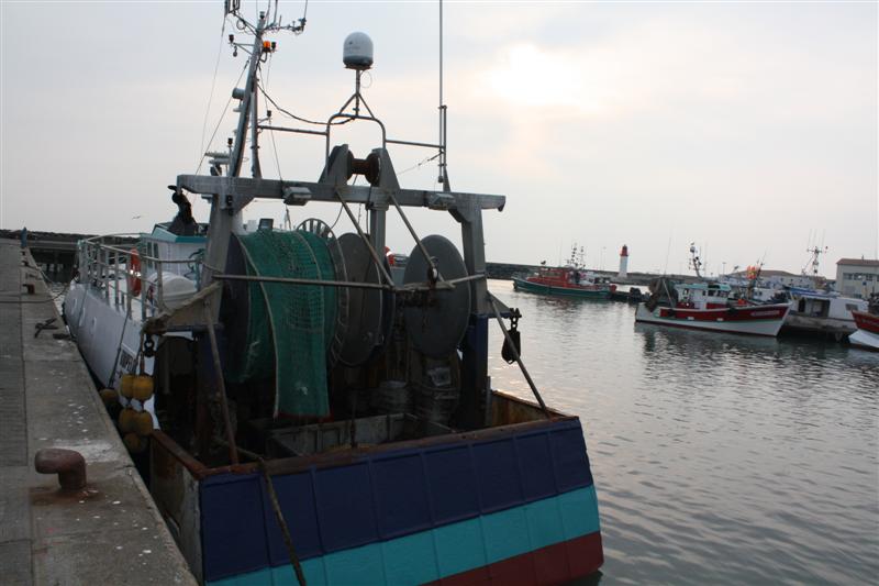 IMG_6175 (Medium).JPG