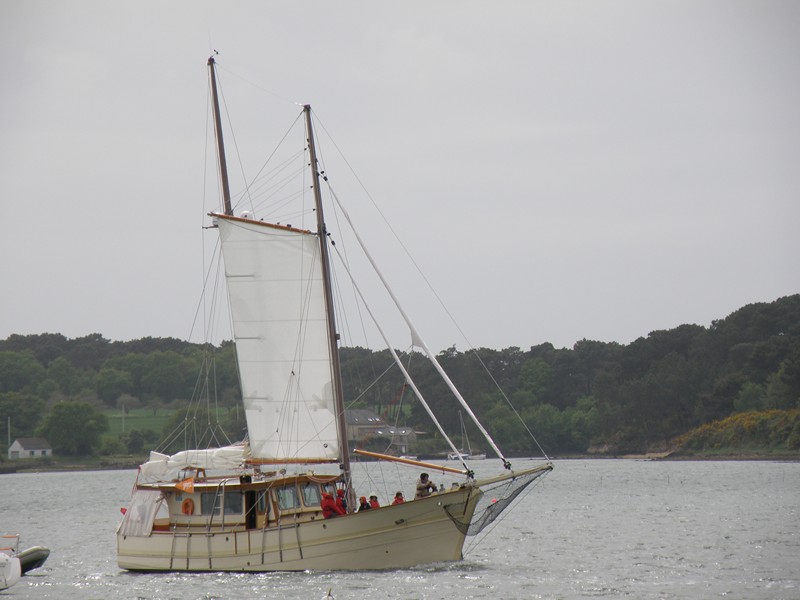P5100147.JPG
