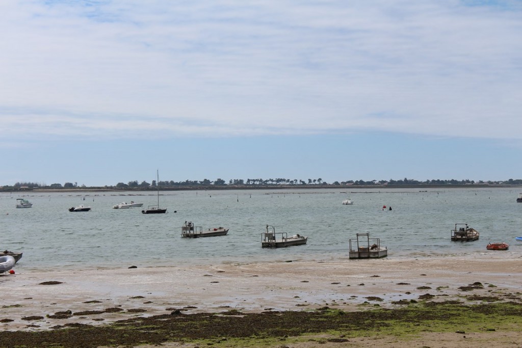 îlederé2013 128 (Copier).JPG