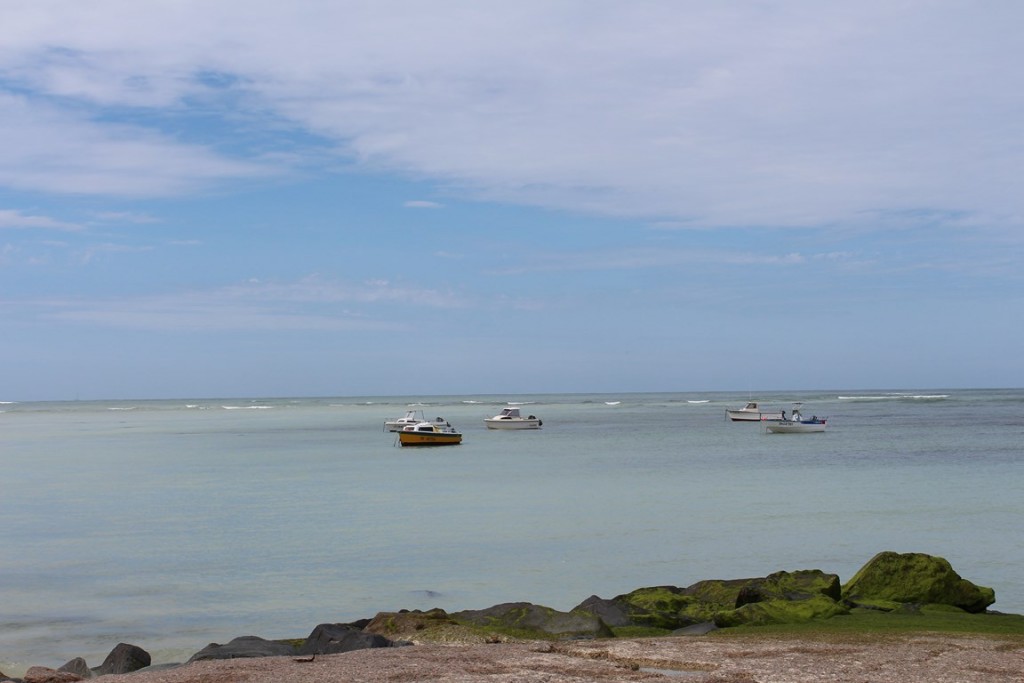 îlederé2013 228 (Copier).JPG