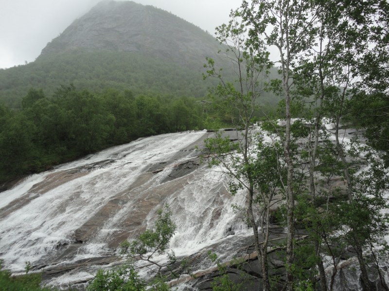 DSC05074 [800x600].jpg