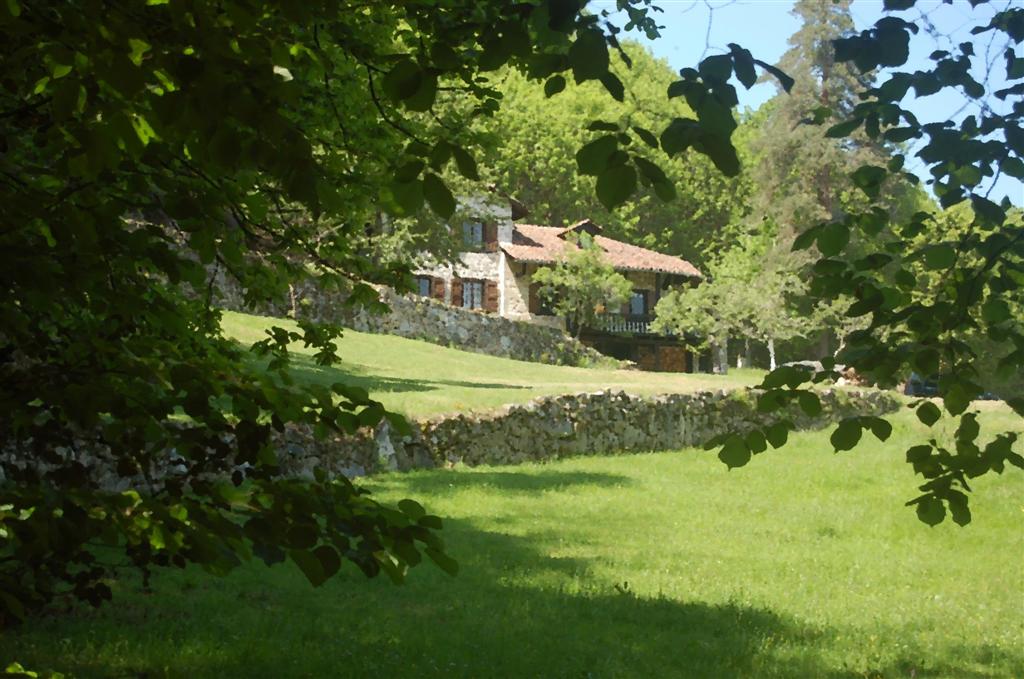 La minerve (gouache) 288 (246) (Large).jpg