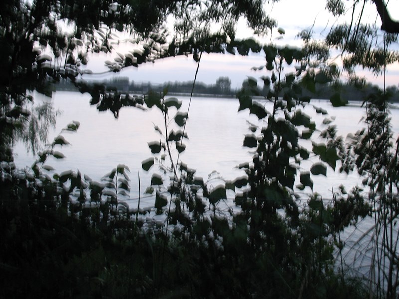 IMG_0564 (Copier).JPG