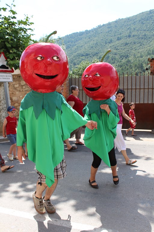 eribafestalbanya2013 078 (Copier).JPG