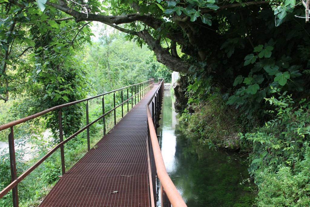 eribafestalbanya2013 1072 (Copier).JPG