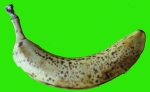 banane.jpg