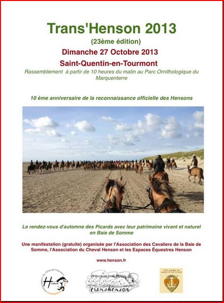 Affiche Transhenson 2013.JPG