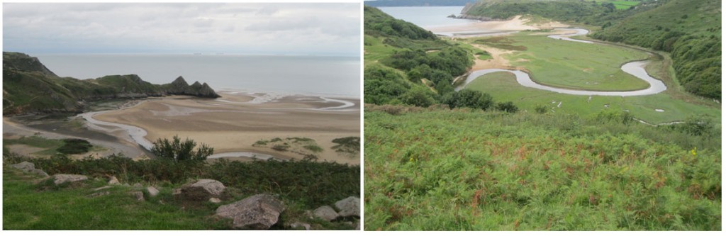 Gower-2.jpg