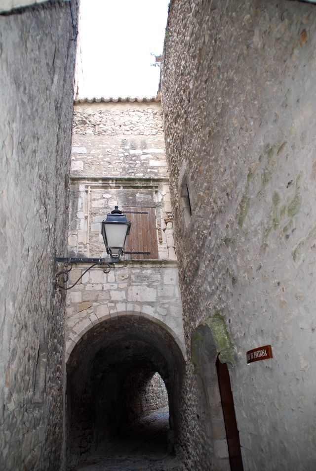 DSC_4352.JPG