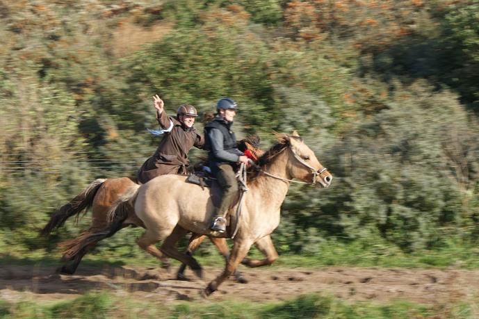 DSC04440&.JPG