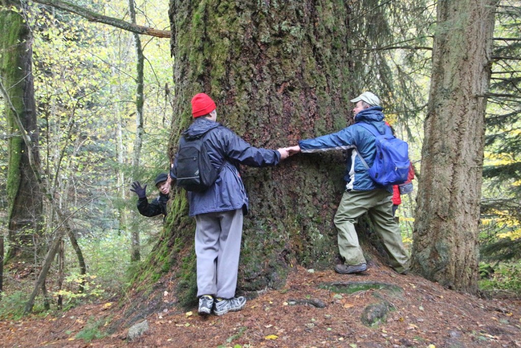 MarcheMorvan101113 099 (Copier).JPG