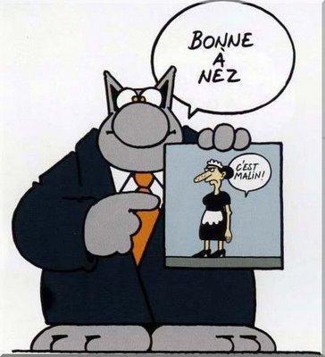 Le chat.jpg