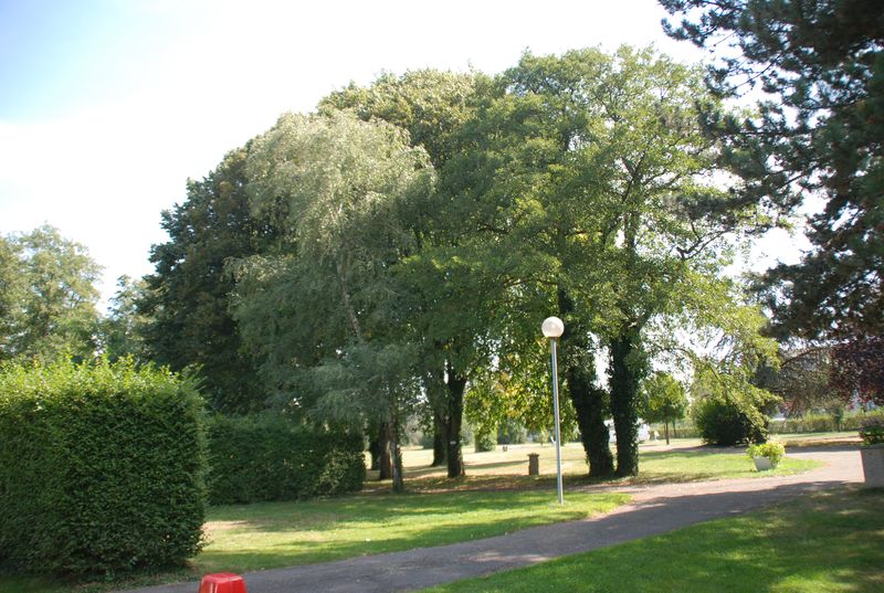 DSC_3446.JPG