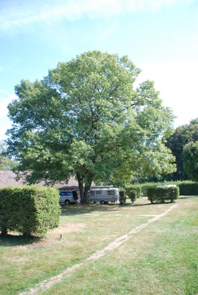 DSC_3447.JPG