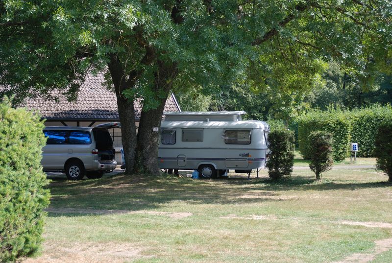 DSC_3448.JPG