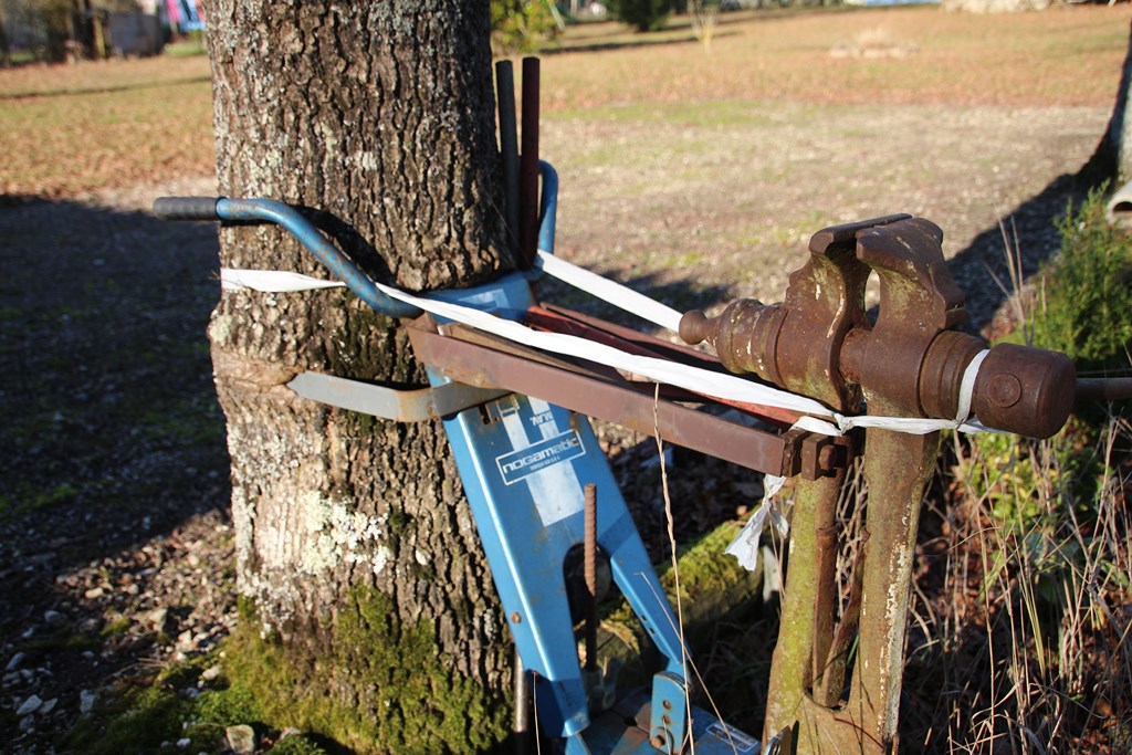 divers 181 (Copier).JPG