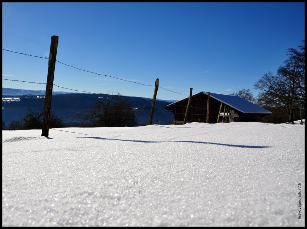 r d'or [1024x768].JPG