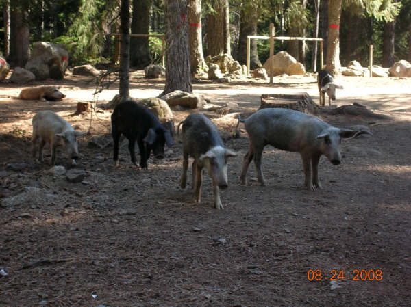 DSCN3762.JPG