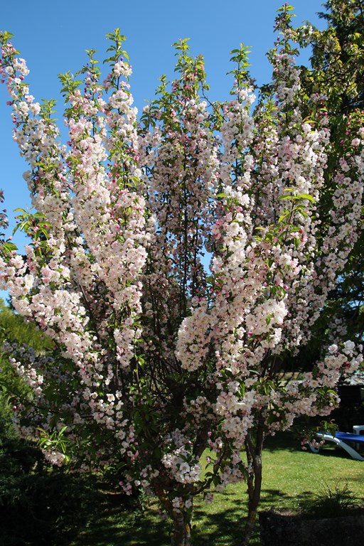 Puisaye forterre 020 (Copier).JPG