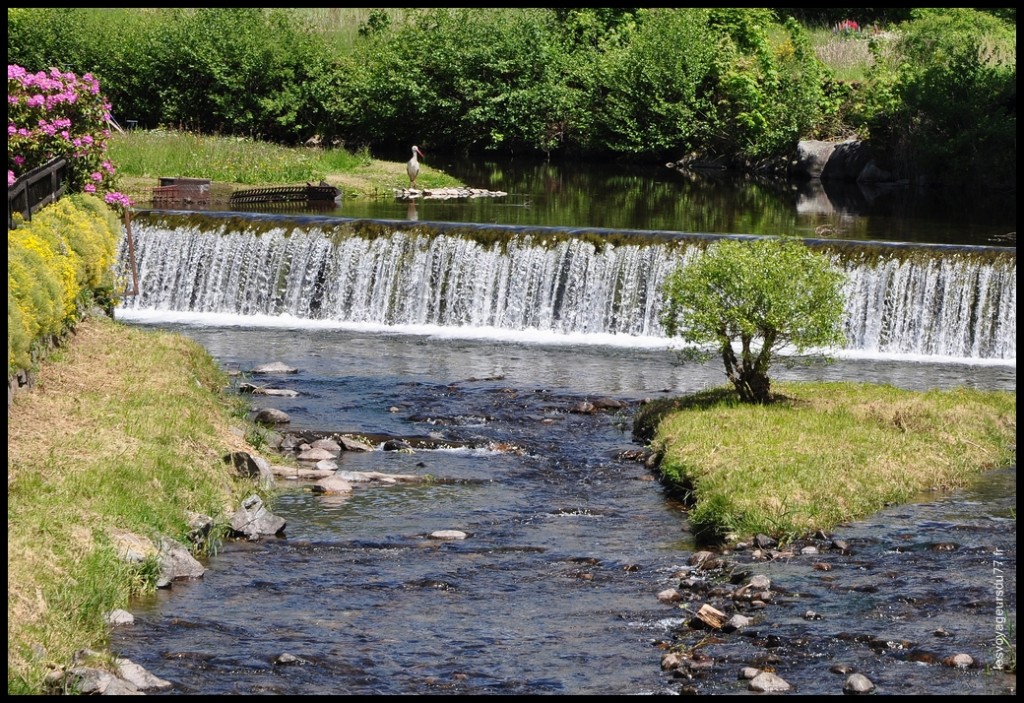 0010 (2) [1024x768].JPG